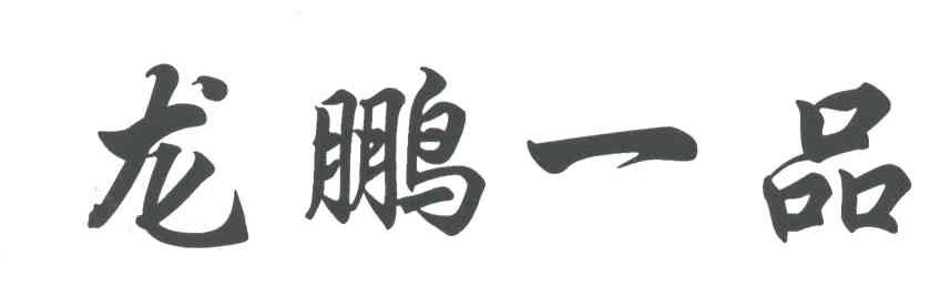 龙鹏一品