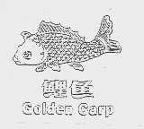 鲤鱼