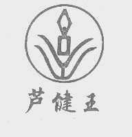 芦健王