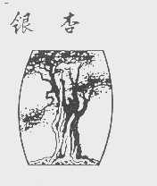 银杏