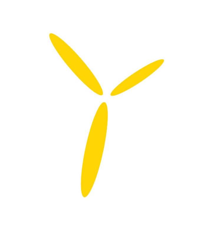 Y