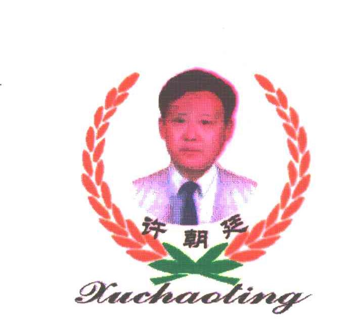 许朝廷