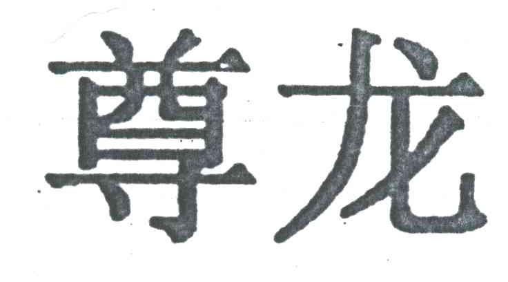 尊龙