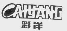 彩洋
