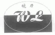 皖力