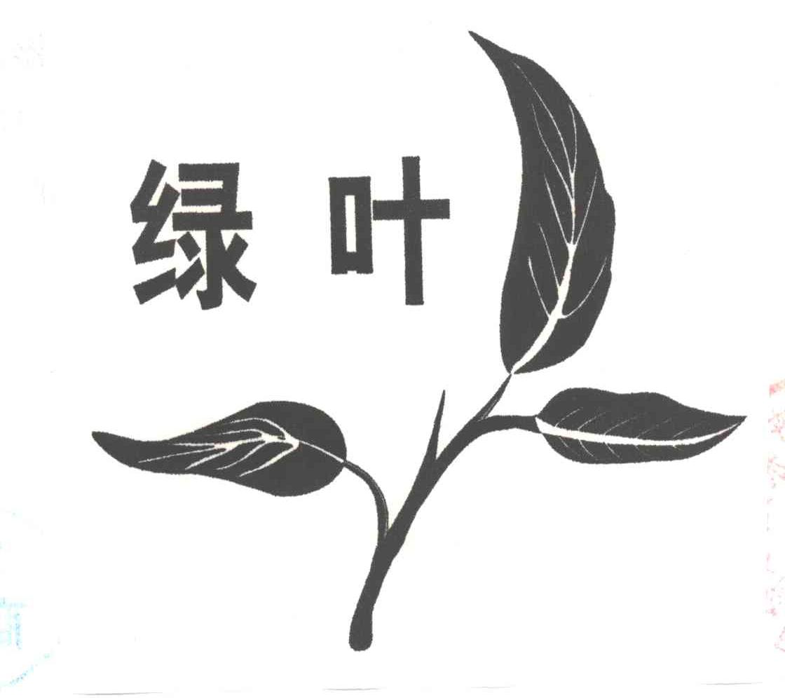 绿叶