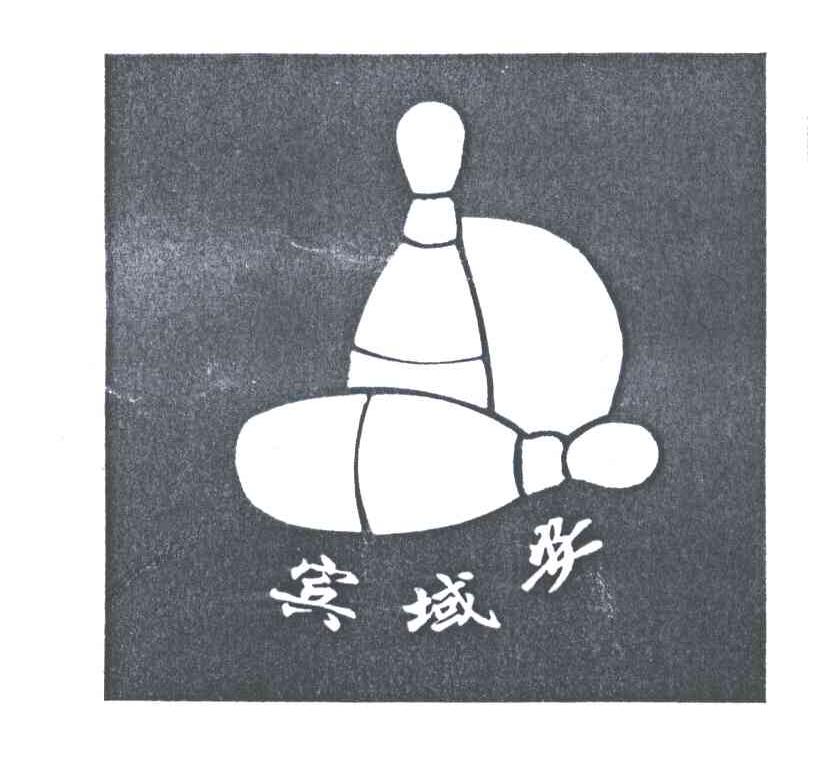 宾域安