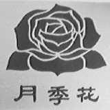月季花