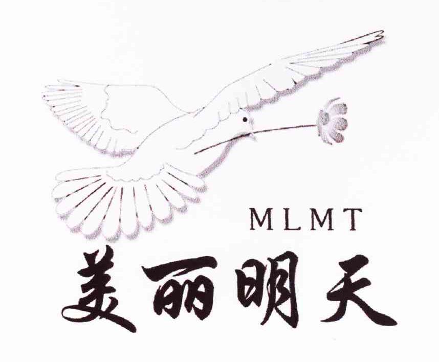 美丽明天 MLMT