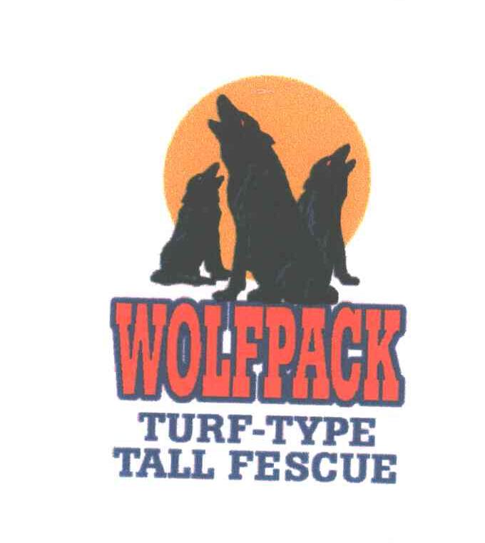 WOLF PACK;TURF TYPE TALL FESCUE