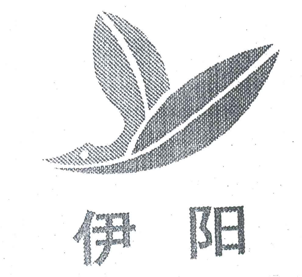 伊阳
