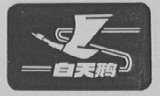 白天鹅