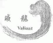 威龙;VALIANT