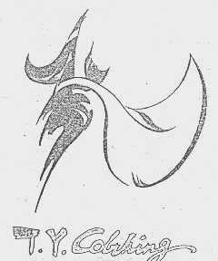 T.Y. COLTHING
