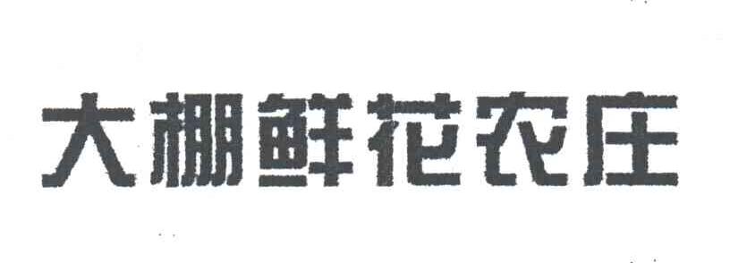 大棚鲜花农庄