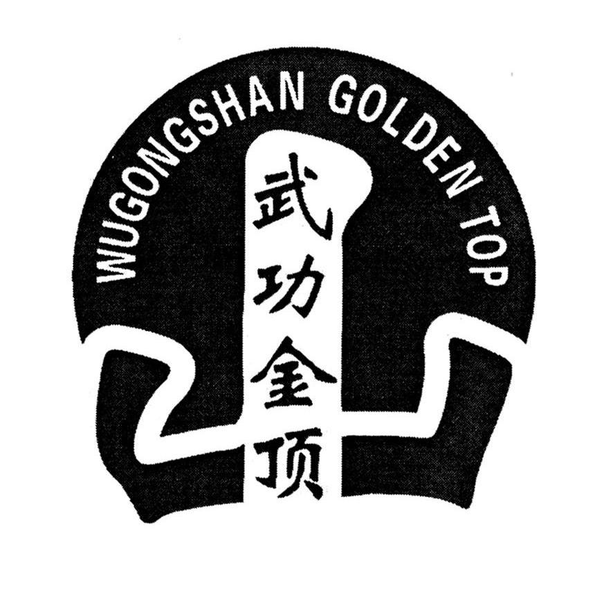 武功金顶 WUGONG GOLDEN TOP