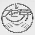 龙芽