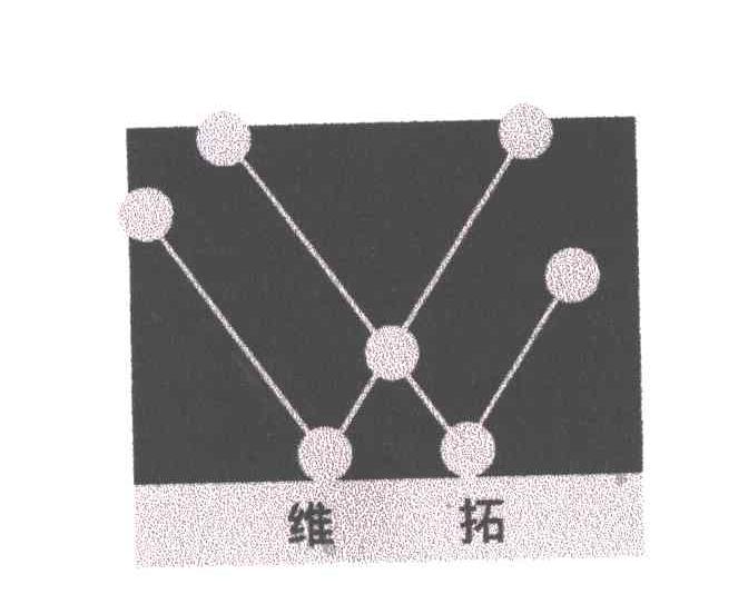 维拓