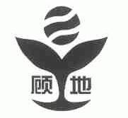 顾地
