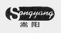 嵩阳