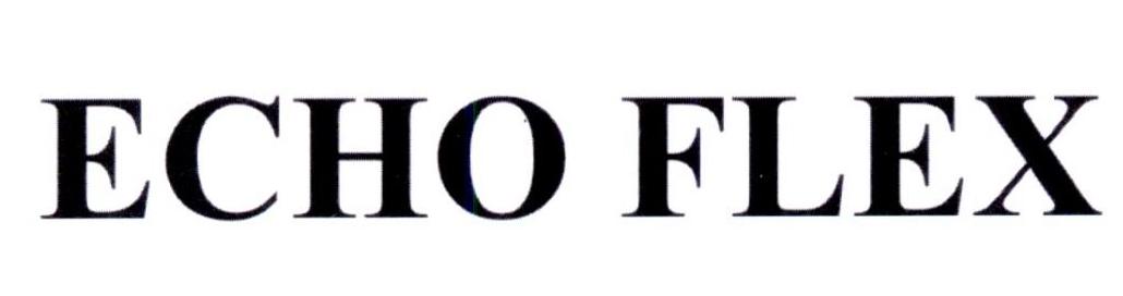 ECHO FLEX
