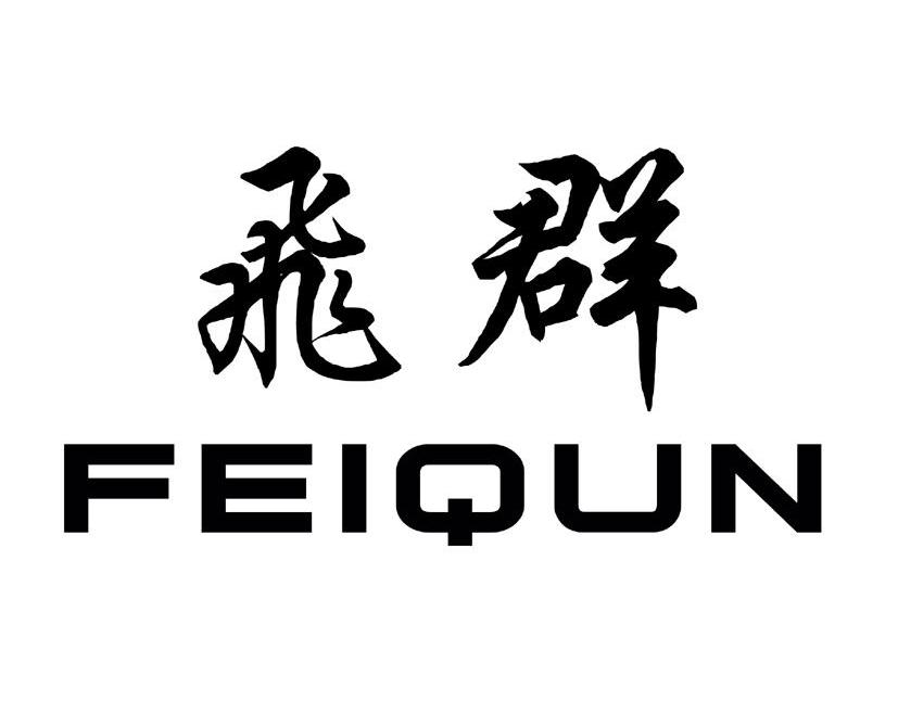 飞群
