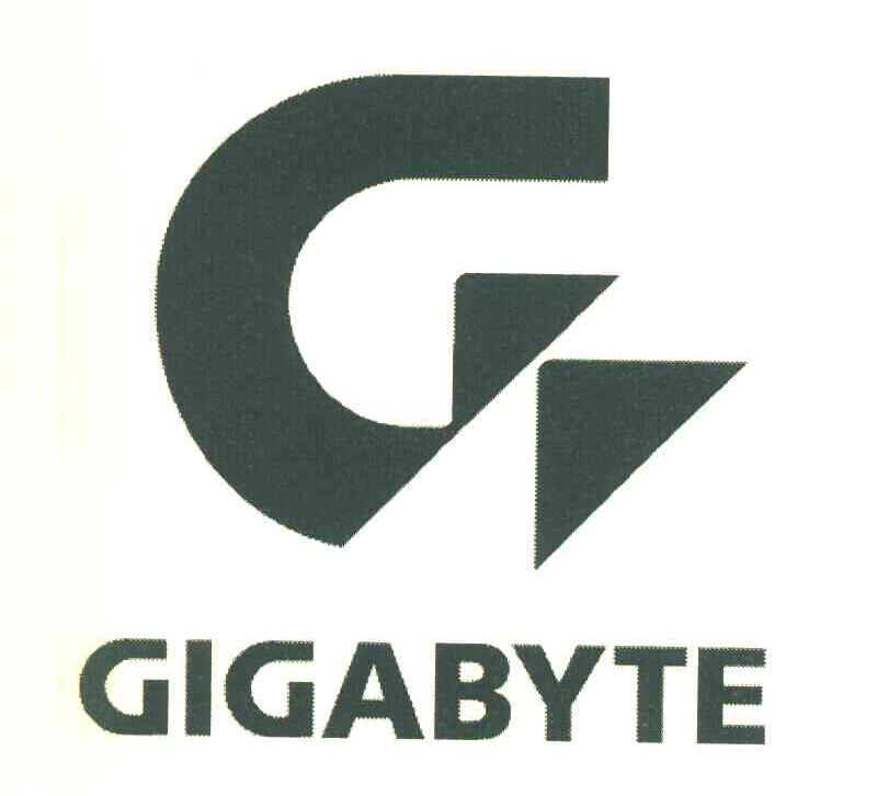 GIGABYTE G
