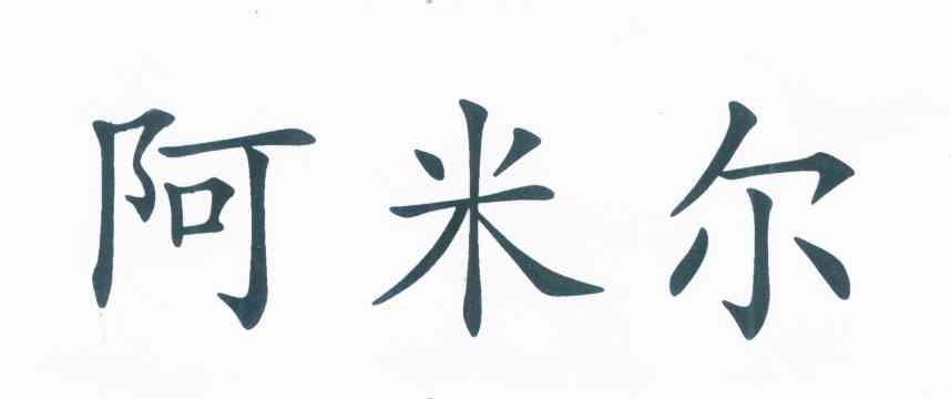 阿米尔