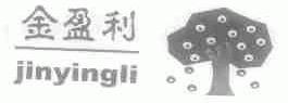 金盈利