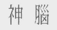 神脑