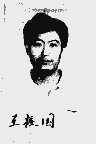 王振国