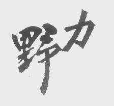 野力