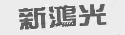 新鸿光