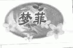 梦菲