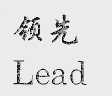 领先;LEAD