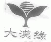 大漠缘