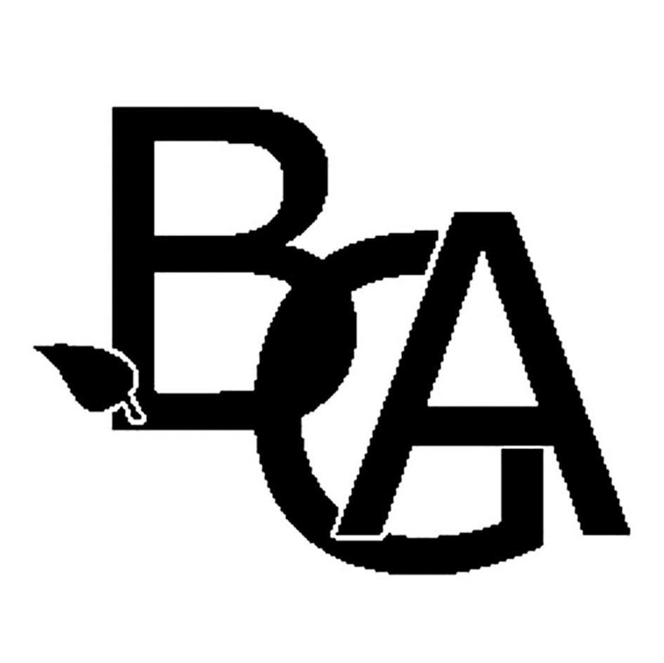 BGA