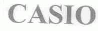 CASIO
