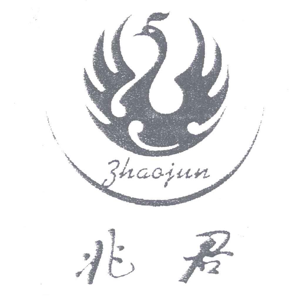兆君