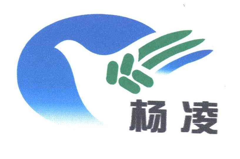 杨凌