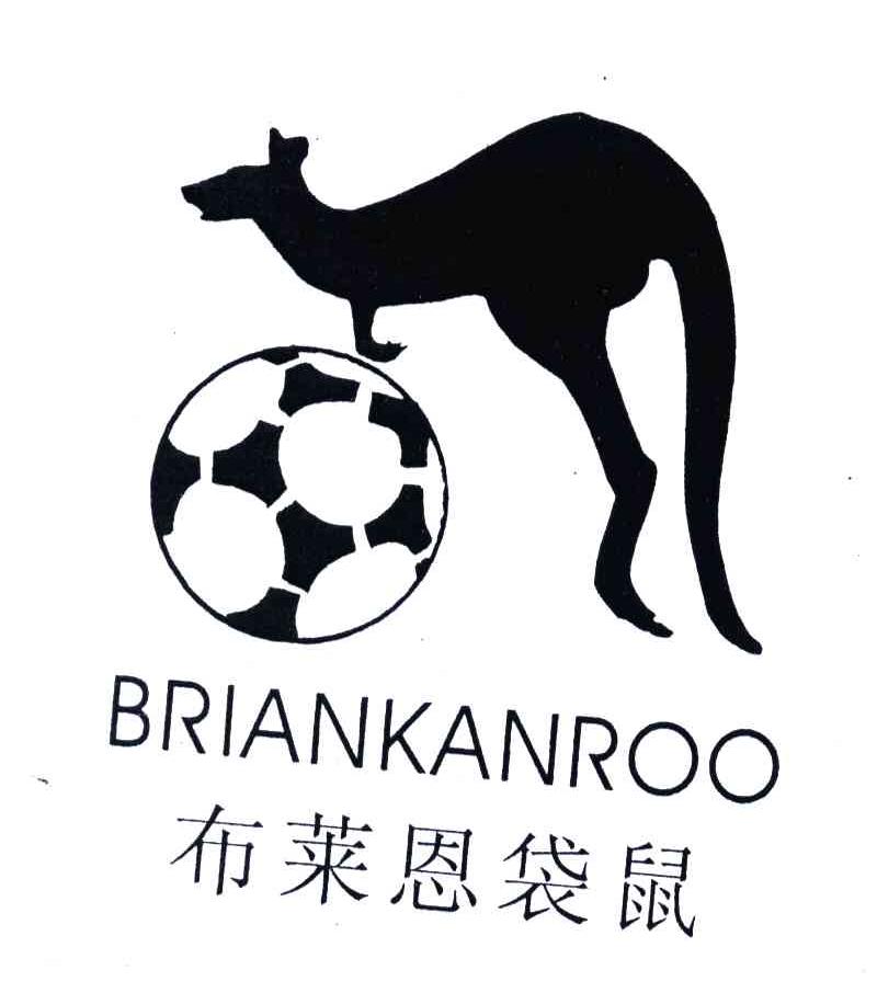 布莱恩袋鼠;BRIANKANROO