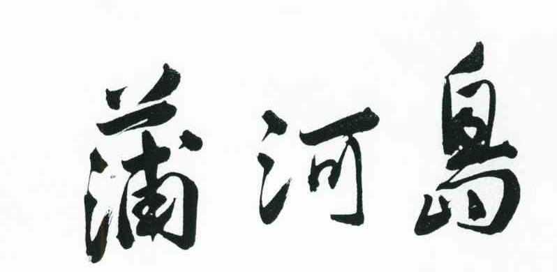 蒲河岛