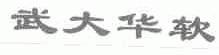武大华软