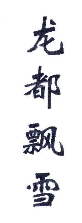 龙都飘雪