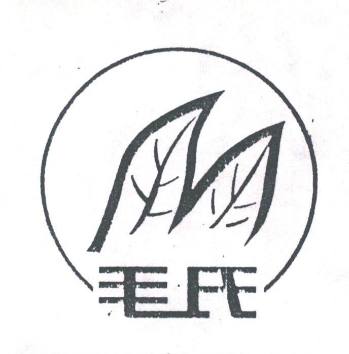 毛氏