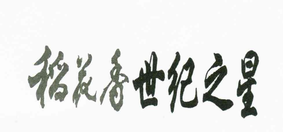 稻花香世纪之星；