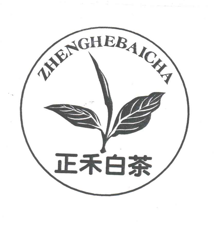 正禾白茶