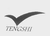 TENGSHI