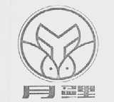 月鲤