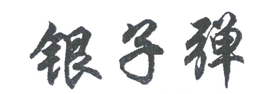 银子弹